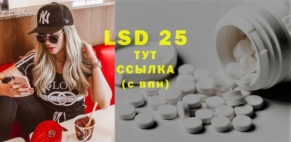 крисы Магадан