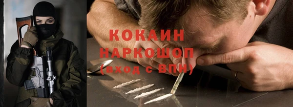 крисы Магадан
