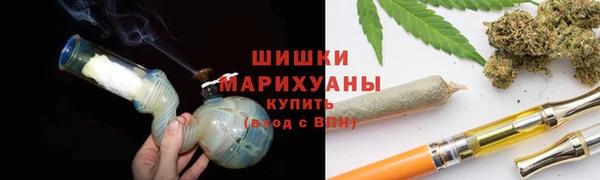 тгк Майский