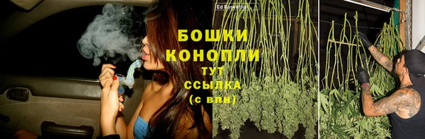 тгк Майский