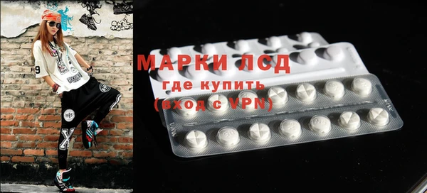 крисы Магадан